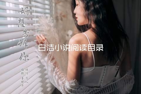 白洁小说阅读目录